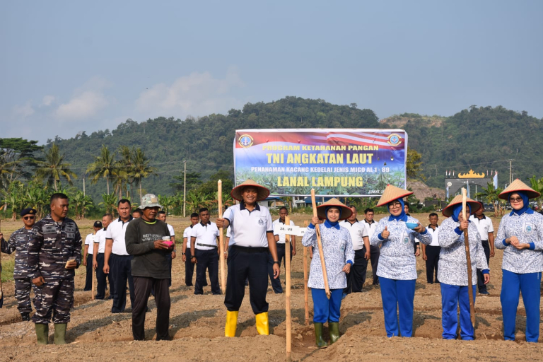 TNI AL Lanal Lampung Tanam Kedelai: Kurangi Impor, Dukung Swasembada Pangan